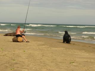 Catlins Newhaven Holiday Park - Owaka - 1