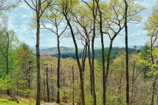 Mnt View Cabin with Hot Tub Near Golf and Fishing - Mineral Bluff - 9