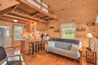 Pet-Friendly Ellsworth Cottage on Branch Lake - Ellsworth - 9