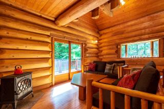 Suite Villa Hakone Sengokuhara Canadian Log - 3