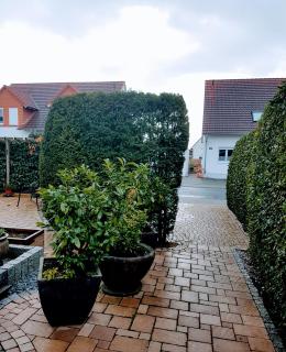 Appartement am Goldsteinpark - Bad Nauheim - 1