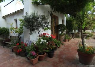 River Ebro Holidays - Tivenys - 4