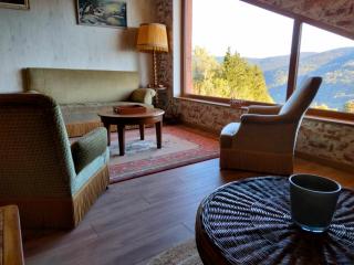Chez Nous - La Bresse - 5