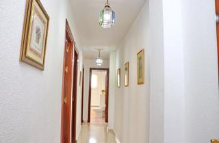 Venenciadores - Conil de la Frontera - 8