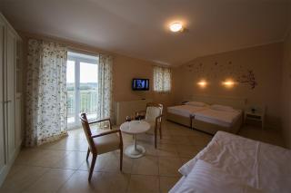 Hotel Kozana - Dobrovo - 7