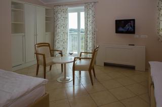 Hotel Kozana - Dobrovo - 8