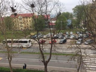 XXXL Apartman - - 2