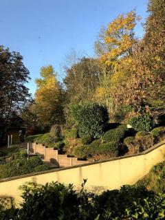 Maison de charme nichée dans le bois pour vivre une expérience unique - Saint-Rémy-lès-Chevreuse - 6