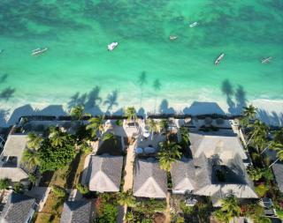 Blue Oyster Hotel - Jambiani - 4