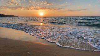 Perennial Resort - Nai Yang Beach - 4
