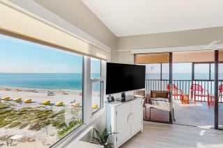 Arie Dam 401 - St Pete Beach - 8
