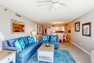 Arie Dam 401 - St Pete Beach - 6