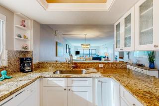 Arie Dam 401 - St Pete Beach - 4