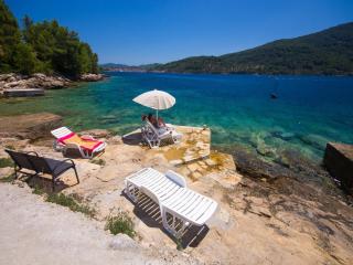Holiday Home Dalmatia Sokolić - Vela Luka - 4