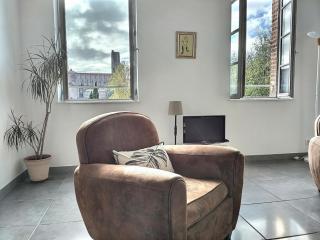 L'Incroyable vue *L'Appart* Parking privé gratuit - Albi - 6