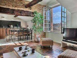 L'Incroyable Vue - LOFT - Parking privé gratuit - Albi - 6