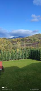 View Cozia - Călimăneşti - 8