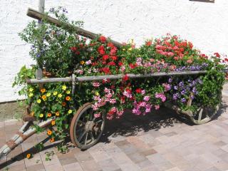 Urlaub am Kräutlhof in Mariapfarr - 6