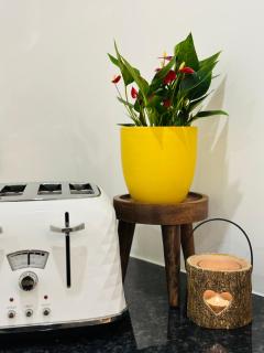 Touchwood - Isleworth - 3