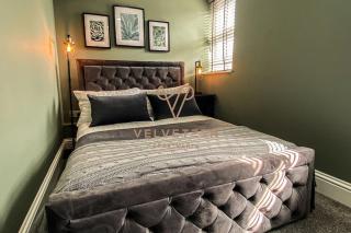 Velveteen by The V Group - 7