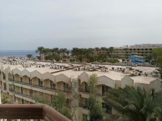 Golden Rose Hotel - Hurghada - 7