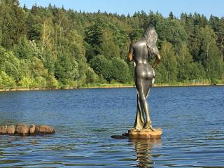 Apartments Lipno Serafin - 6