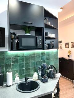 Green Spot - Premium Studio - Sanador Victoriei - 1