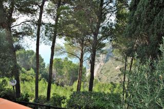 La Sirenetta tra mare e collina - Sperlonga - 9