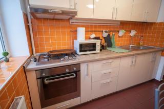 Spacious 2BR Dristor Apartment - Bucarest - 9