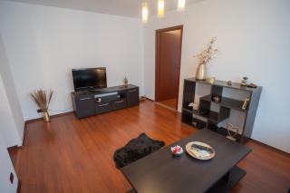 Spacious 2BR Dristor Apartment - Bucarest - 1