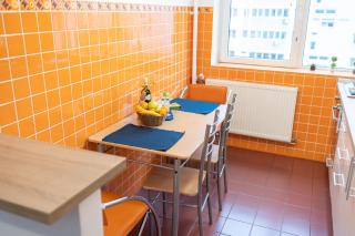 Spacious 2BR Dristor Apartment - Bucarest - 6