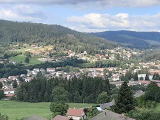 Appartement du parc - Xonrupt-Longemer - 1