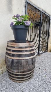 Domaine de Grisere chambre 1 - Tilh - 6