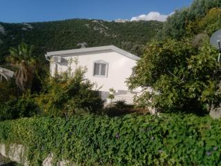 Blue Horizon - Dobra Voda - 1