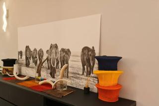 House of Bongekile 4 Bed Luxury Home in Malelane - Malelane - 4
