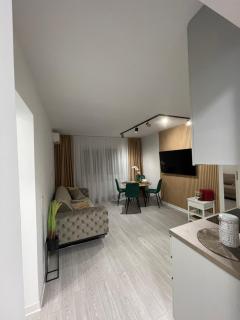 Oxana Apartments - 3 camere - Timisoara - Timişoara - 6