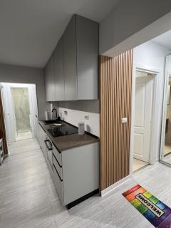 Oxana Apartments - 3 camere - Timisoara - 6