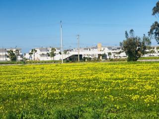 Marbella Beach location pour famille 2 chambres - Mansouria - 5