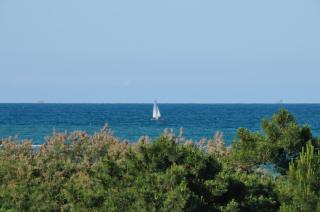 Hotel-Residence-b&b Le Dune beach service included - 8