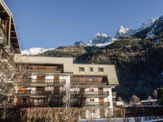 Appartement spacieux à Chamonix - 4 pers, animaux admis, parking - FR-1-343-237 - 7