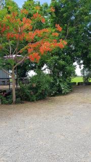 ที รีสอร์ท T Resort Suphanburi - 5