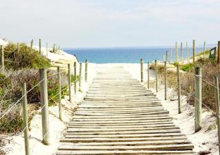 Dolphin Africa Apartment - 9