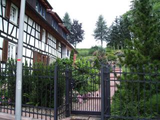 Glattbacher Hof - Lindenfels - 7