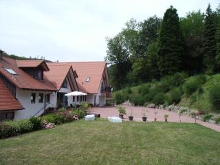 Glattbacher Hof - Lindenfels - 3