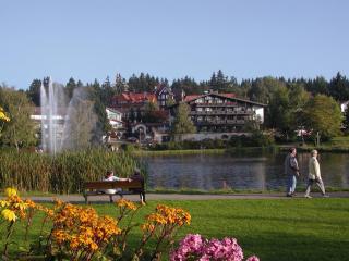 Hotels am Kranichsee - Hahnenklee-Bockswiese - 8