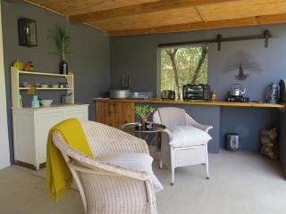 Olive Grove Pip - Prince Albert - 9