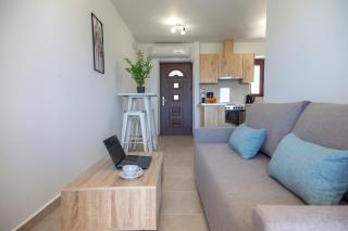 AGIOS PETROS APARTMENTS - Ágios Pétros - 3