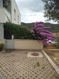 Apartman Paiz - Stari Grad (Cittavecchia) - 4