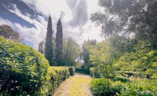 Sanctuary Park Cottages - 9