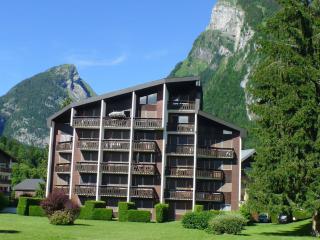 Charmant appartement 2 pièces avec WiFi et parking - FR-1-629-27 - Samoëns - 1